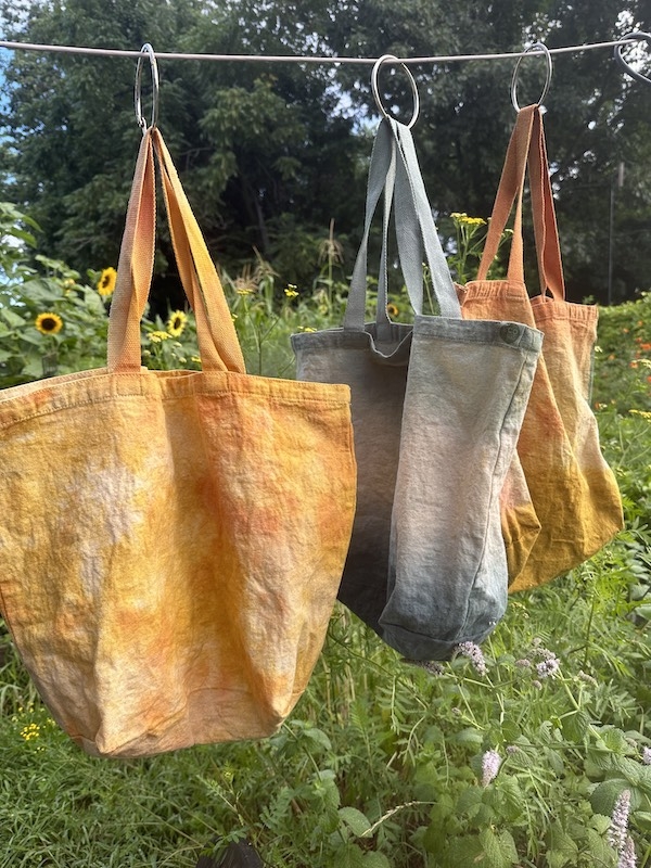 Botanical Dyeing with Jackie